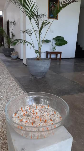Akurala Beach Boutique Resort ภายนอก รูปภาพ